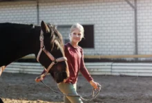 Dívka vede koně.
