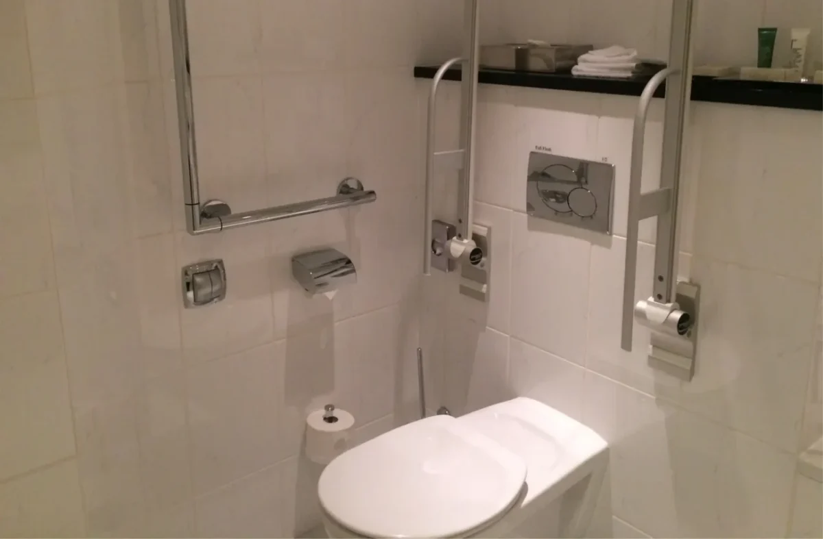 toaleta v koupelně v Česku