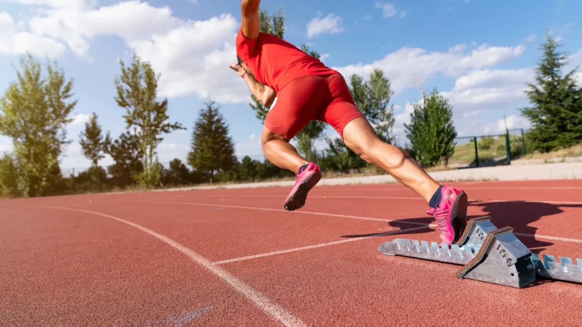 shutterstock_2465327927-2-2