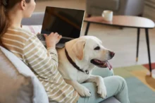 žena na gauči s notebookem, leží na ní pes
