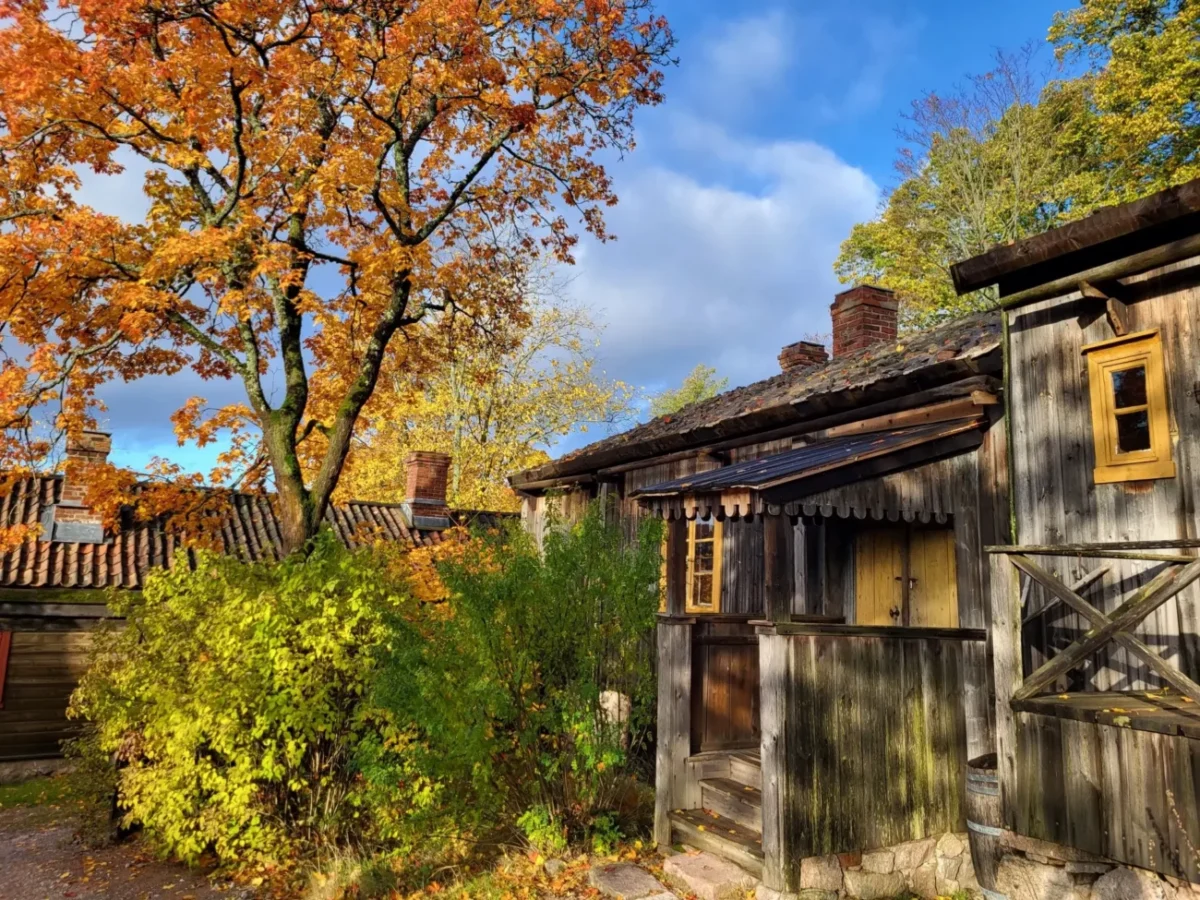 Shutterstock_2616993229