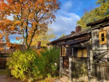 Shutterstock_2616993229