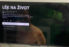 screenshot z Netflixu