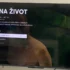 screenshot z Netflixu