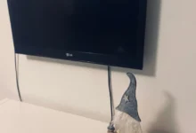 televize na stěně