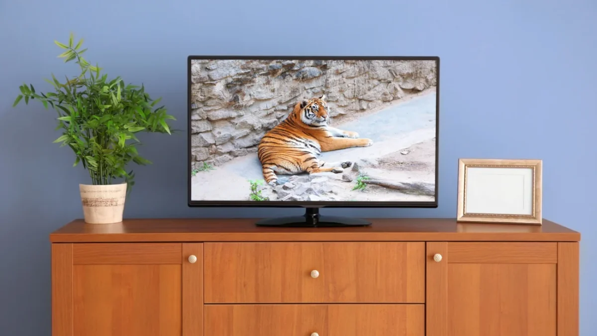 Televize ve které dávají pořad o tygrech.
