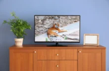 Televize ve které dávají pořad o tygrech.