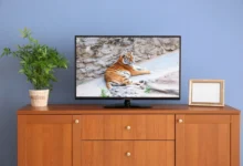 Televize ve které dávají pořad o tygrech.