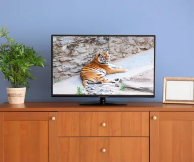 Televize ve které dávají pořad o tygrech.