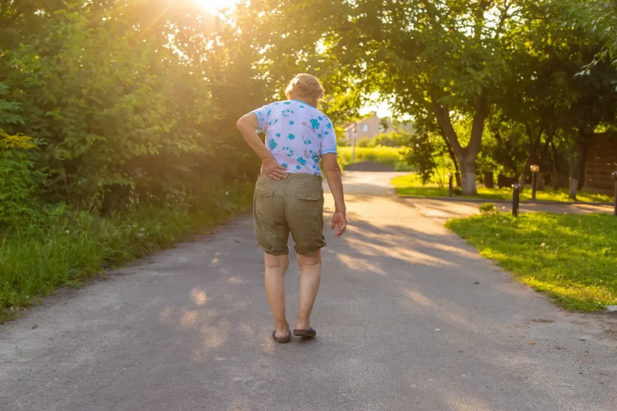 Shutterstock_2419591189