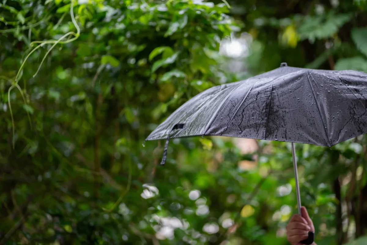 shutterstock_2641351803-2