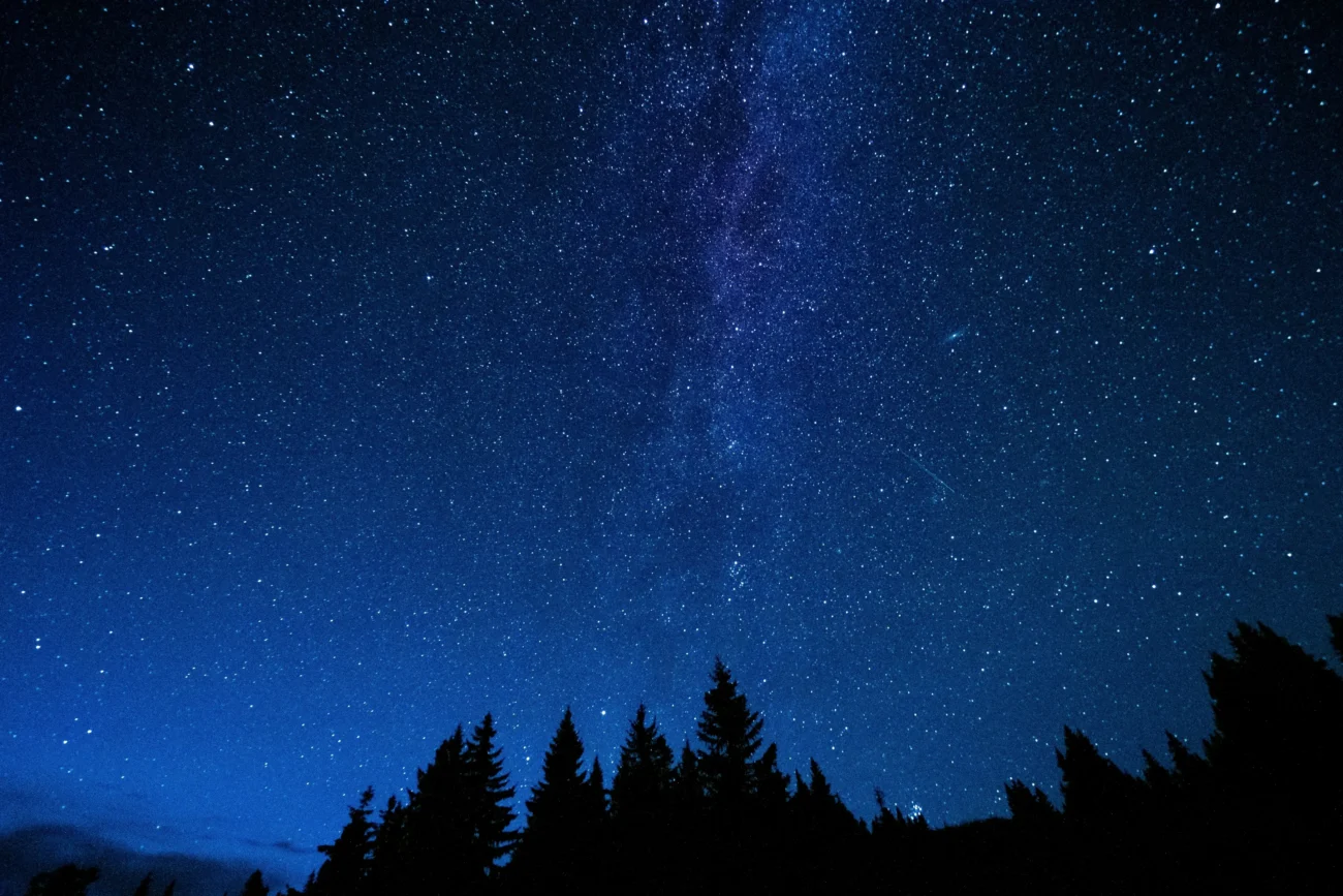 shutterstock_2550423665 1 | TVGURU.cz Noční obloha nad lesem.