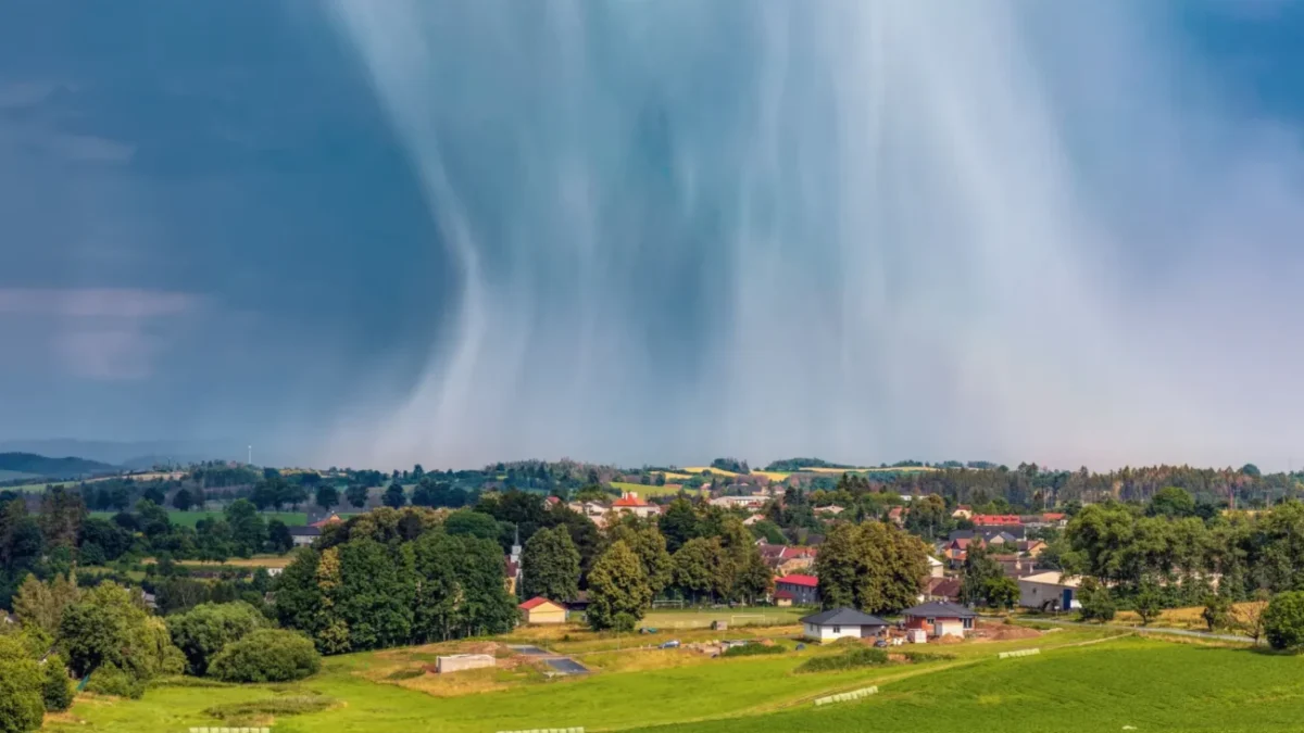 Shutterstock_1779473093