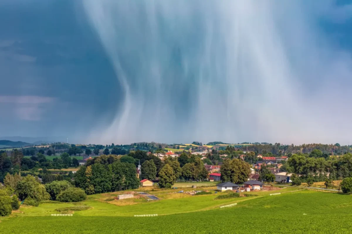 Shutterstock_1779473093