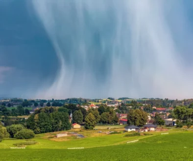 Shutterstock_1779473093