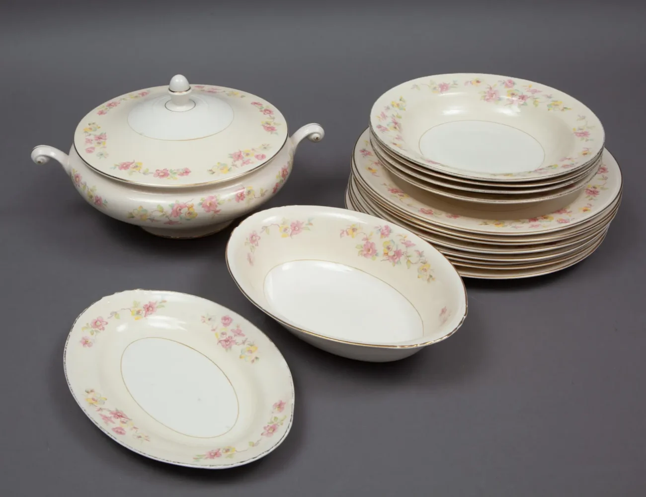 Shutterstock_2629252119 | TVGURU.cz dada porcelánového nádobí