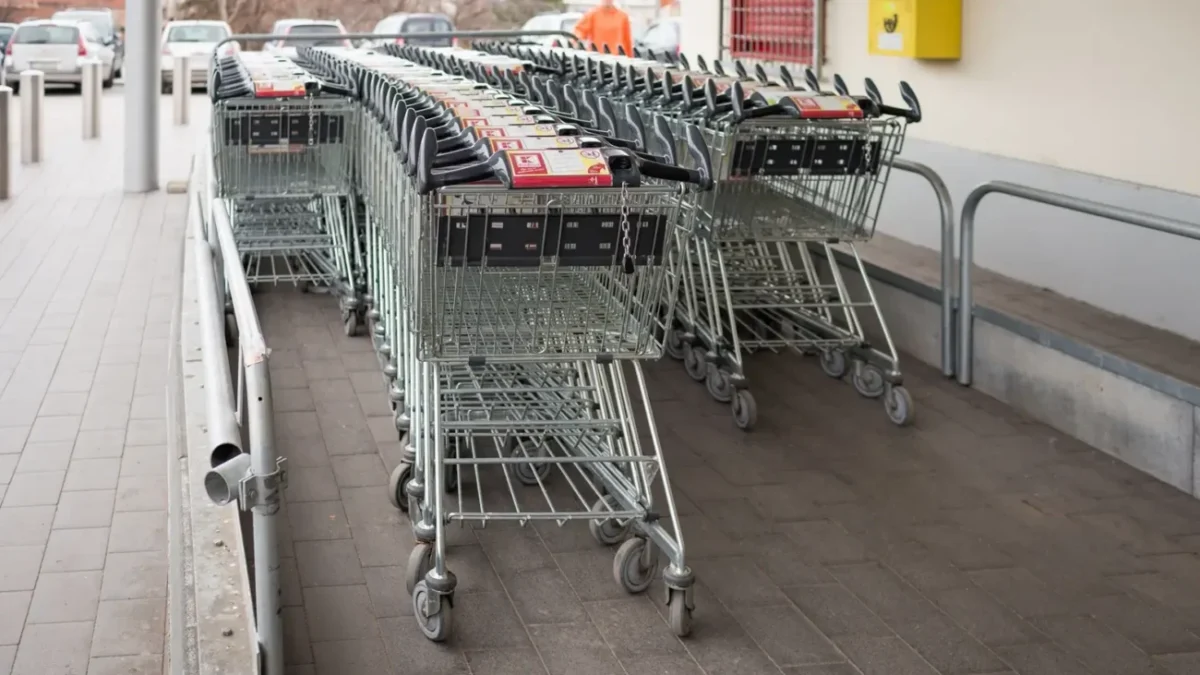 nákupní vozíky v Kauflandu