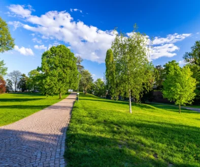 Krajina.