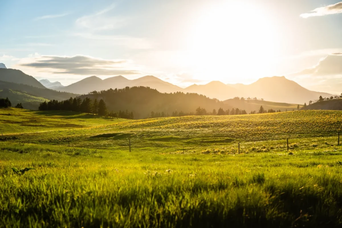 Krajina zalitá sluncem.
