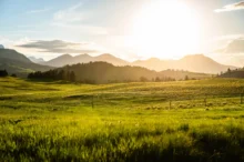 Krajina zalitá sluncem.