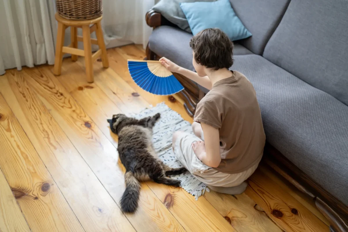 Člověk ovívá kočičku ležící na zemi.