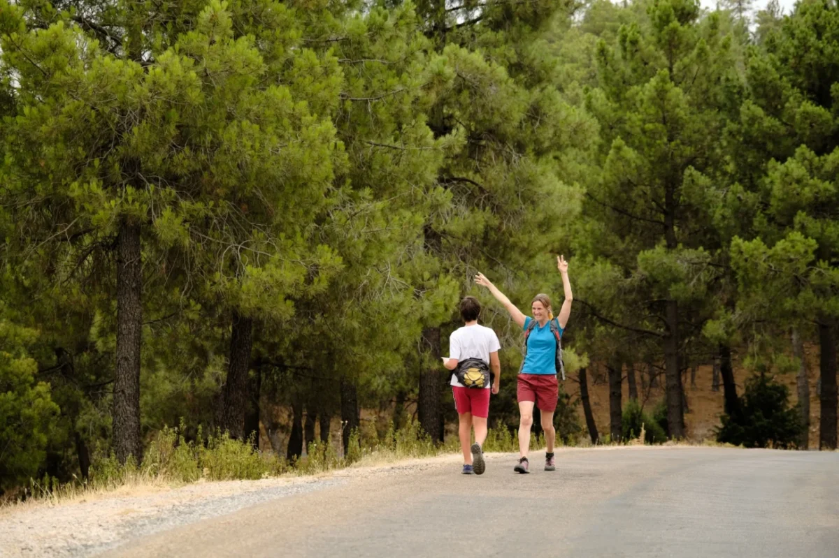 Ženy vesele kráčí po cestě v lese.