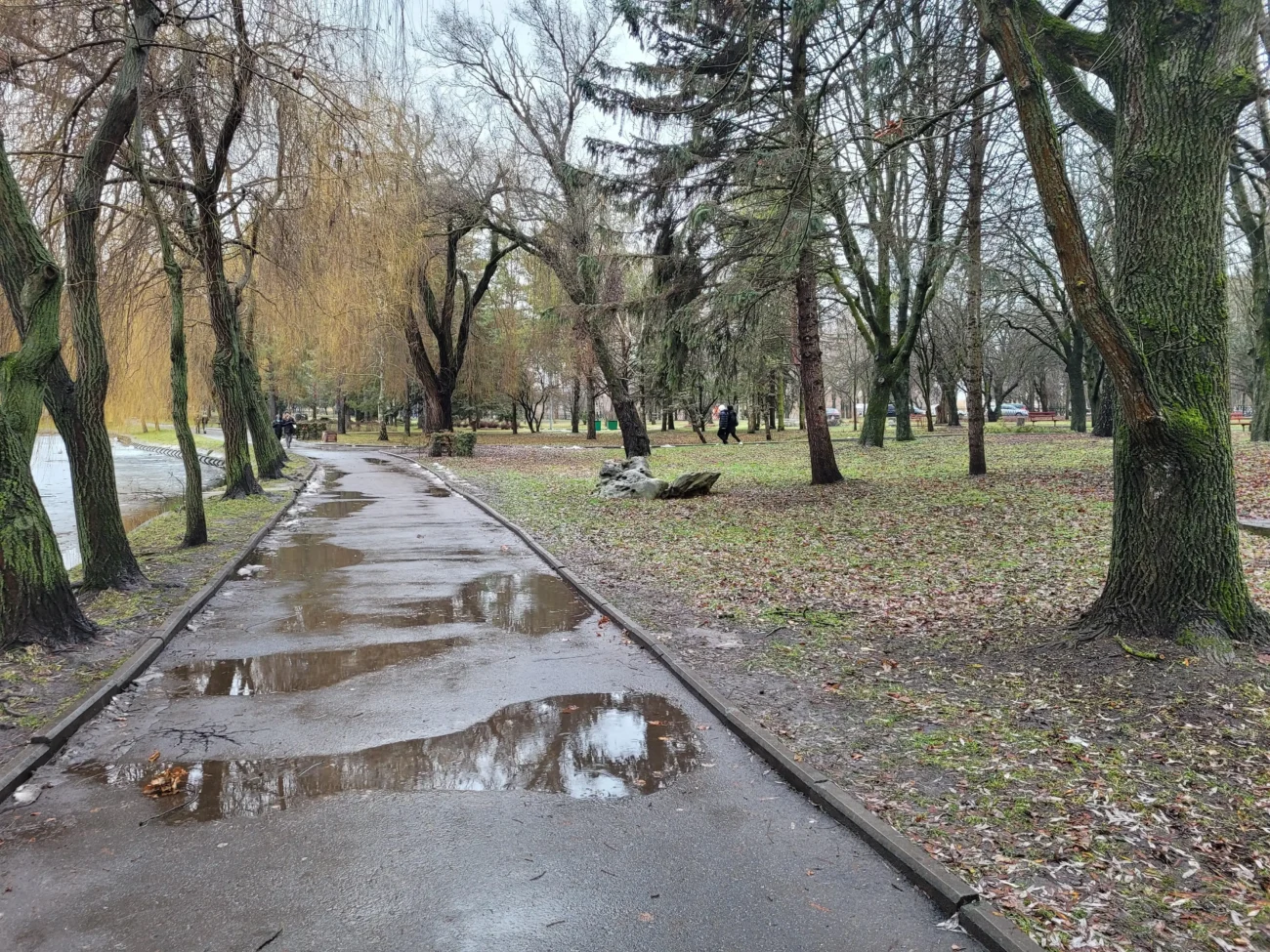 mokrý chodník v parku 