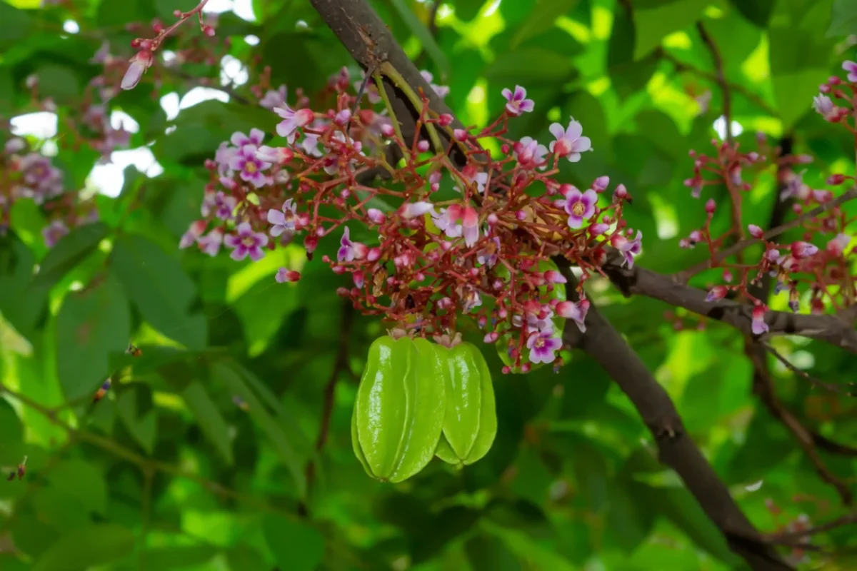 shutterstock_1772660705-2