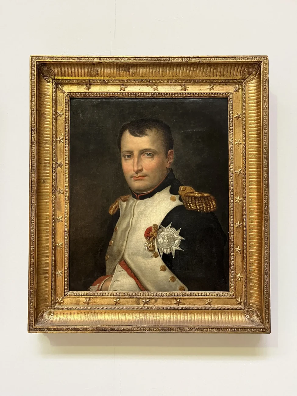 Obraz Napoleona Bonaparte.