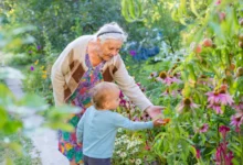 Babička s vnoučkem sbírá na zahradě byliny.