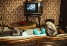 retro obývák v kterým se chlapci dívají na televizi