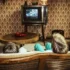 retro obývák v kterým se chlapci dívají na televizi