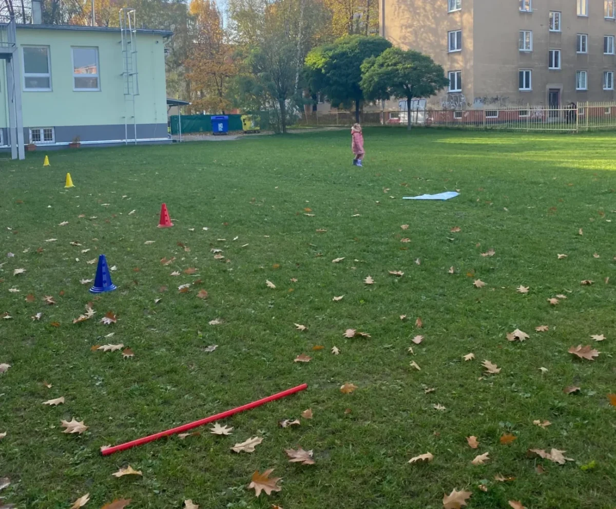 tráva s popadaným listím na podzim