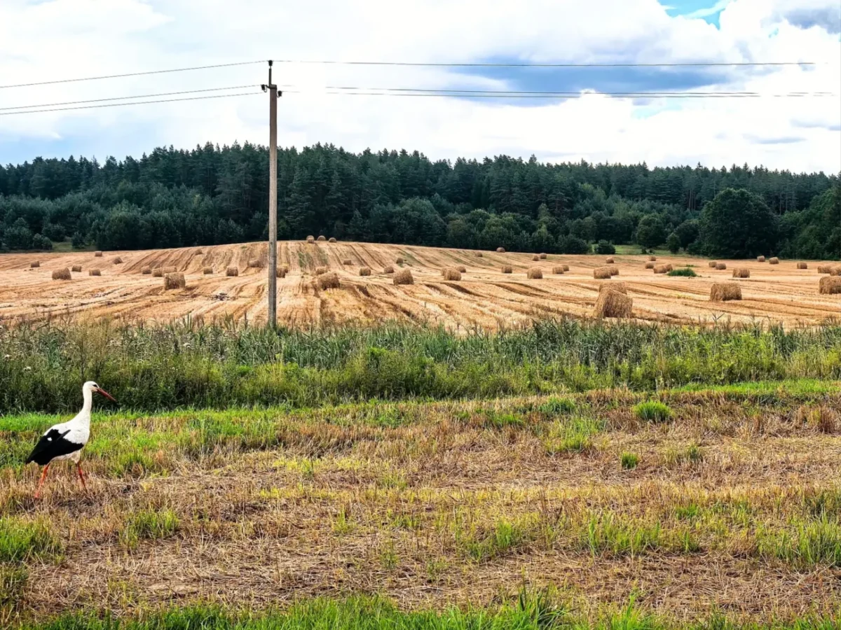 Letní sklizně jsou za námi, je jasné, že je tu září