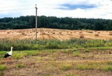 Letní sklizně jsou za námi, je jasné, že je tu září