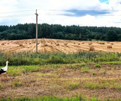 Letní sklizně jsou za námi, je jasné, že je tu září