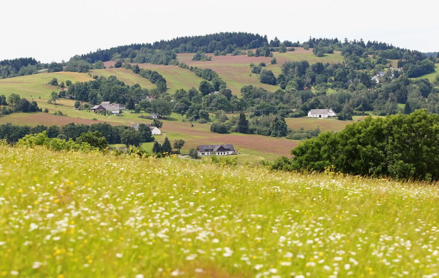 malebná krajina v okolí Sněžného