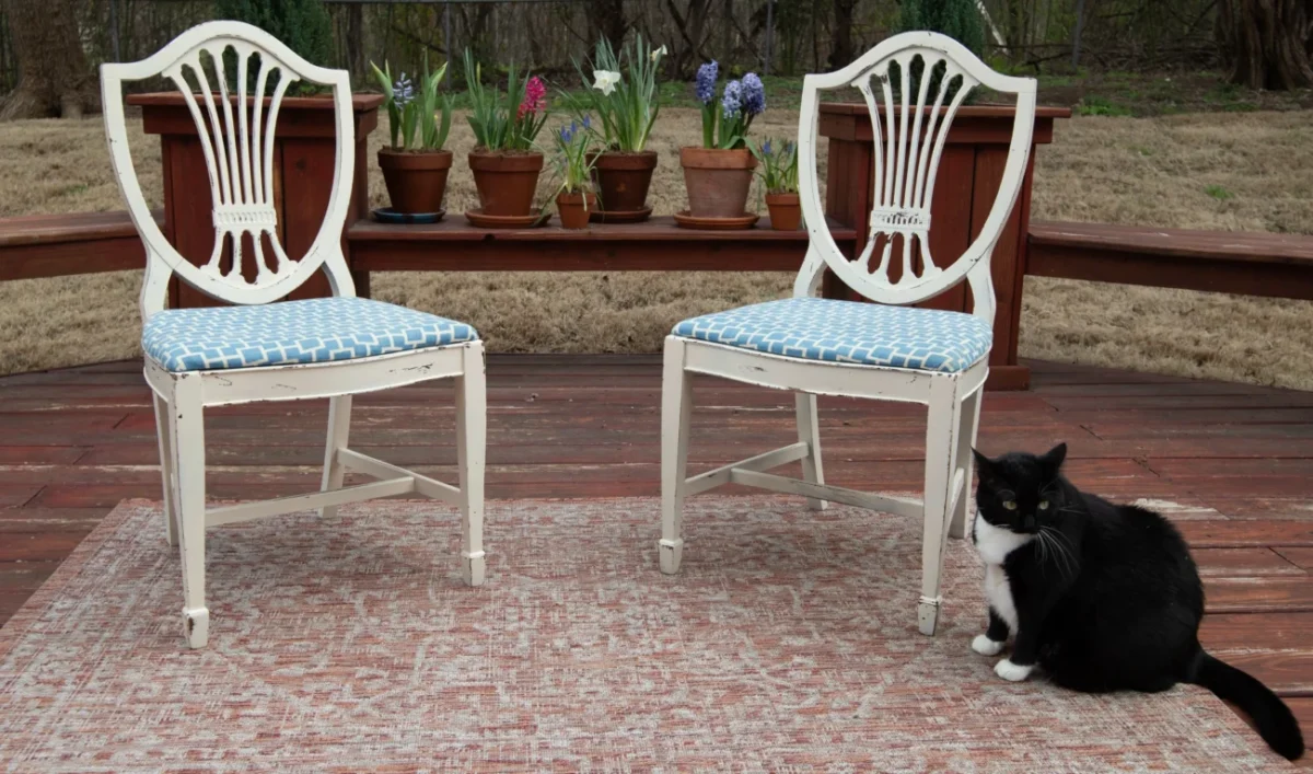 židle stojící na podlaze a vedle nich leží kočka