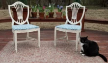 židle stojící na podlaze a vedle nich leží kočka