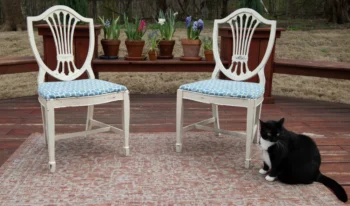 židle stojící na podlaze a vedle nich leží kočka