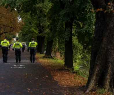 Policisté na silnici.