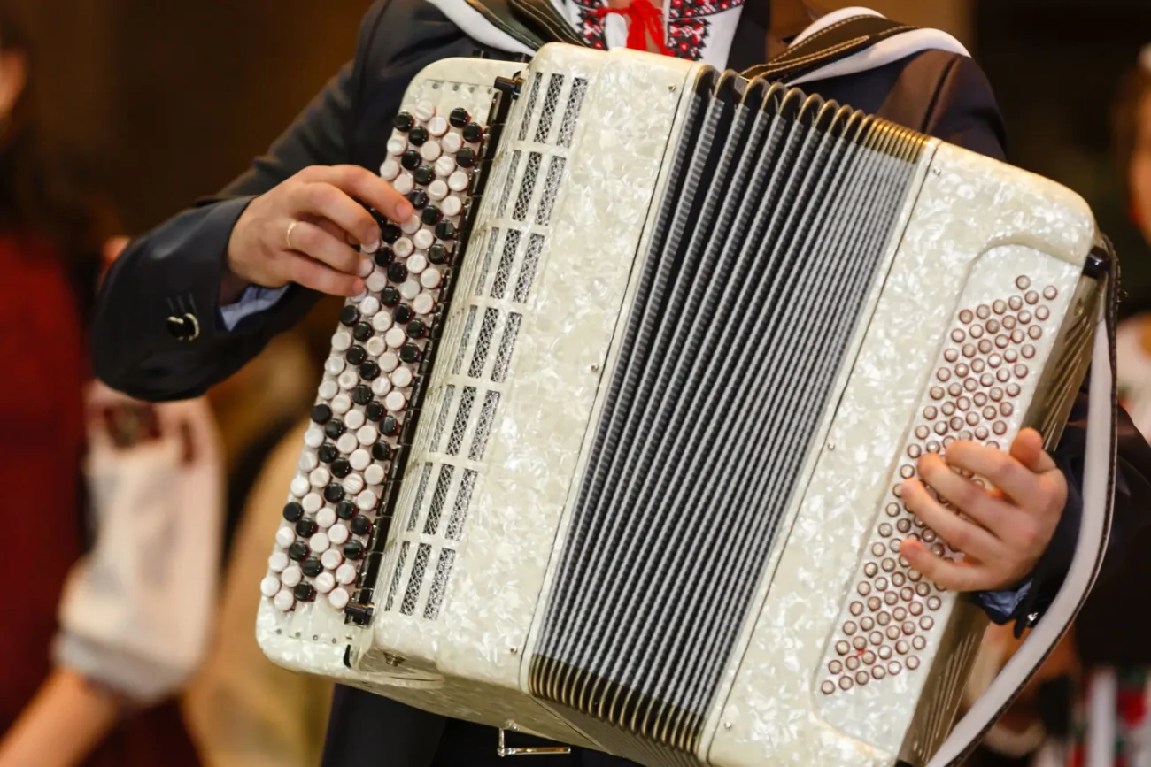 Shutterstock_589967729 | TVGURU.cz natahovací harmonika