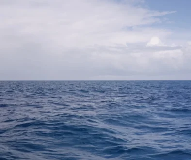 Oceán.