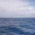 Oceán.