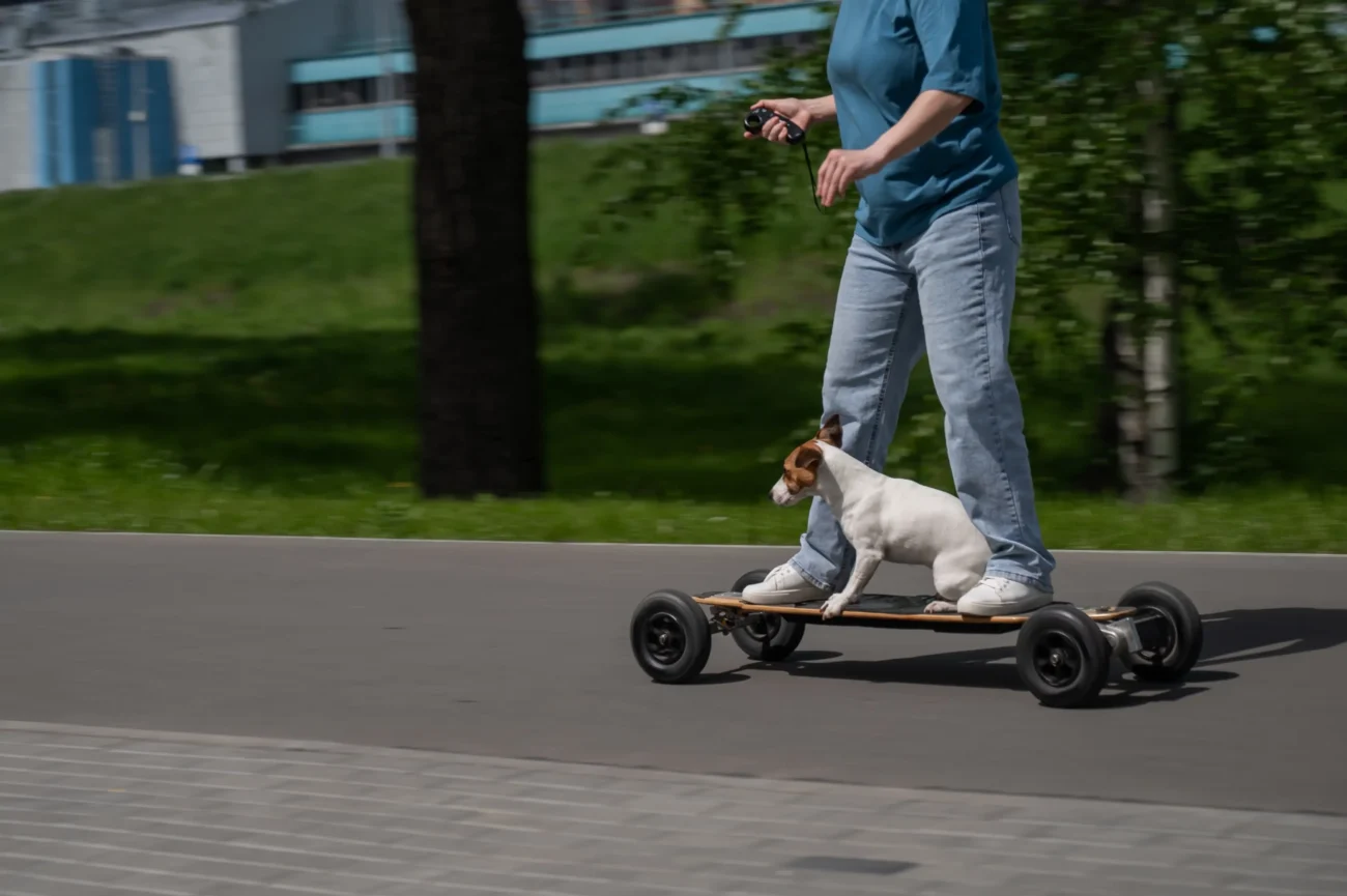 shutterstock_2554423153-2 | TVGURU.cz Pejsek s člověkem jede na longboardu.