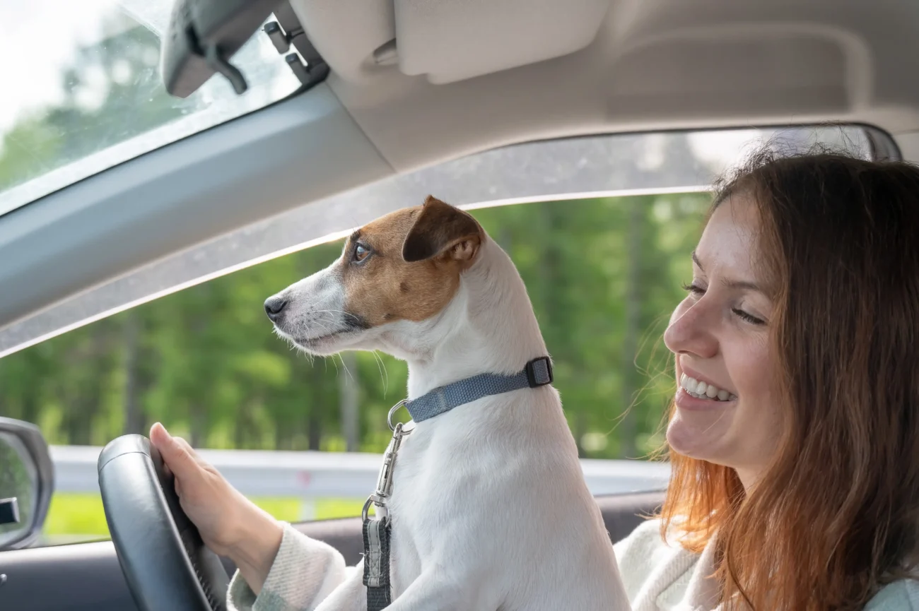 shutterstock_2635431889-2 | TVGURU.cz Žena řídí auto s pejskem na klíně.