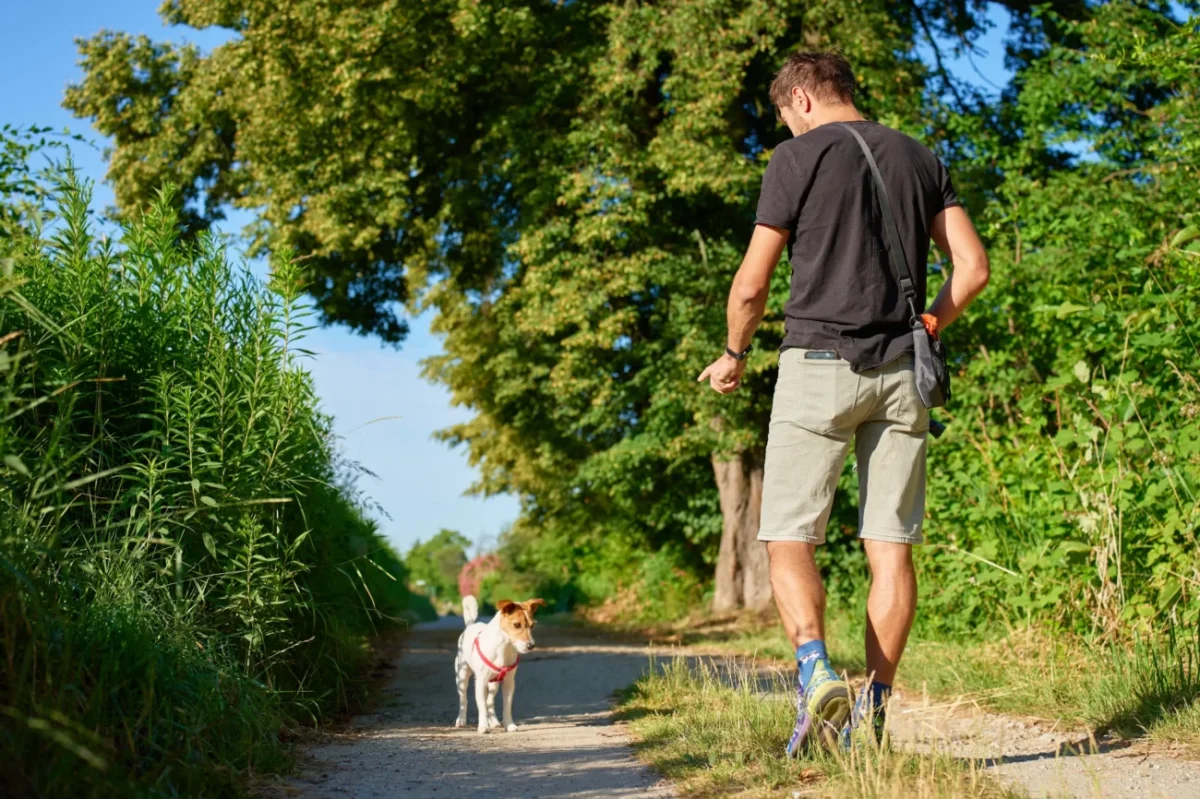 Muž se prochází přírodou s pejskem.