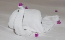 romantický ručník na posteli ve tvaru labutě