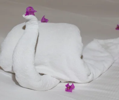 romantický ručník na posteli ve tvaru labutě