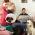 čekárna ve veterinární ordinaci